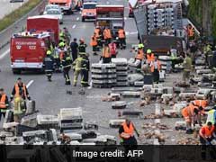 Thousands Of Chickens Block Austrian Motorway