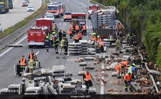 Thousands Of Chickens Block Austrian Motorway