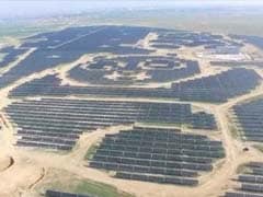 Paw Power: China Opens Panda-Shaped Solar Power Plant