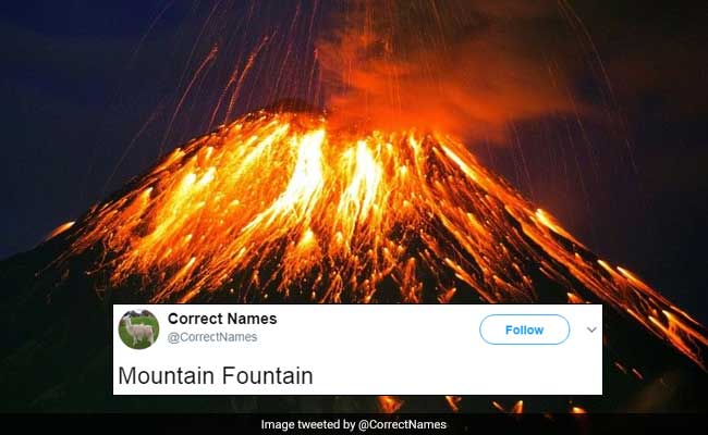 This Twitter Account Is Naming Things 'Correctly' And It's Hilarious