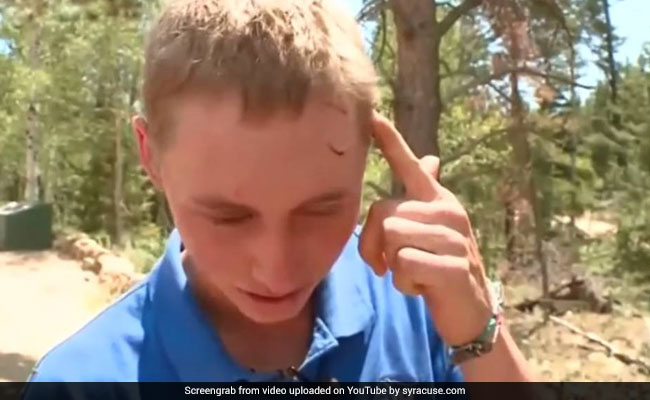 Teen Camper Wakes Up To 'Crunching Noise' - And Discovers His Head Is Inside Bear's Mouth