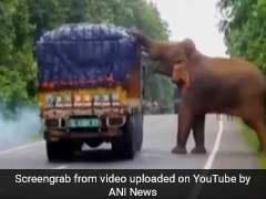 Watch: In Bengal, Elephant Stops Truck In Forest. Then, This...