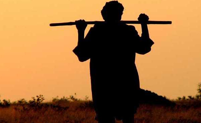 11,400 Farmers Committed Suicide In 2016: Union Agriculture Minister