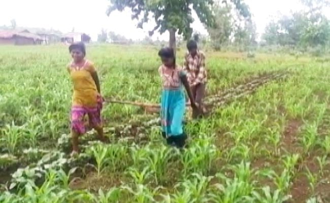 NDTV की ख़बर का असर : मध्य प्रदेश के किसान की मदद के लिए आगे आया प्रशासन