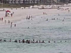 80 Strangers Formed A Human Chain To Rescue Family From Drowning
