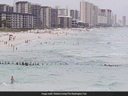 80 Strangers Formed A Human Chain To Rescue Family From Drowning 80 Strangers Formed A Human Chain To Rescue Family From Drowning