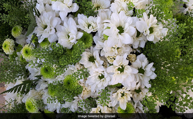 Israel Names Fast-Growing Flower After PM Modi