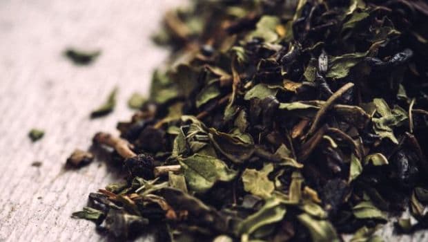 3 Amazing Green Tea Face-Packs For A Healthy And Spotless Skin