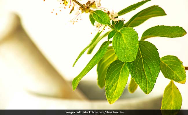 Here's Why You Should Add These 9 Ayurvedic Herbs In Your Daily Diet