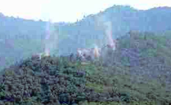 पाकिस्तान ने फिर किया युद्धविराम का उल्लंघन