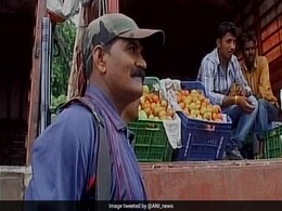 OMG: इस शहर में बंदूक के जोर पर हो रही टमाटर की पहरेदारी OMG: इस शहर में बंदूक के जोर पर हो रही टमाटर की पहरेदारी