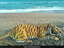 On International Tiger Day, Sudarsan Pattnaik's Sand Art Wins Social Media On International Tiger Day, Sudarsan Pattnaik's Sand Art Wins Social Media
