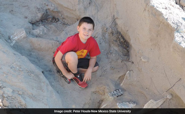 These Boys Thought They'd Found 'A Big, Fat Rotten Cow.' It Was A 1 Million-Year-Old Fossil