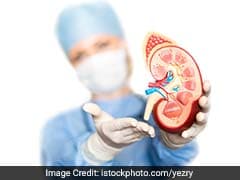 Harvard Team Visits To Study About Kidney Disease