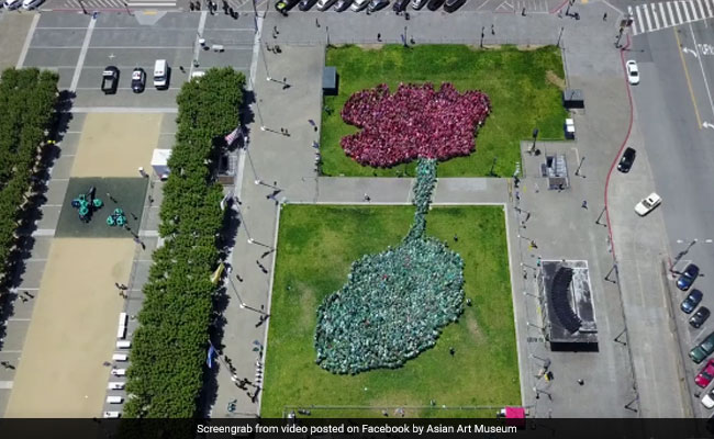 Lotus Blooms: 2,405 People Set Record For World's 'Largest Human Flower'