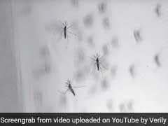 Mosquito Mercenaries? Machine-Bred Mosquitoes To Kill The Bad Ones