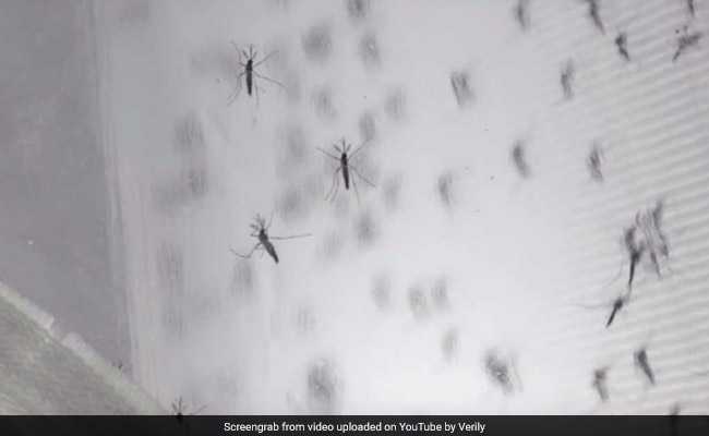 Mosquito Mercenaries? Machine-Bred Mosquitoes To Kill The Bad Ones