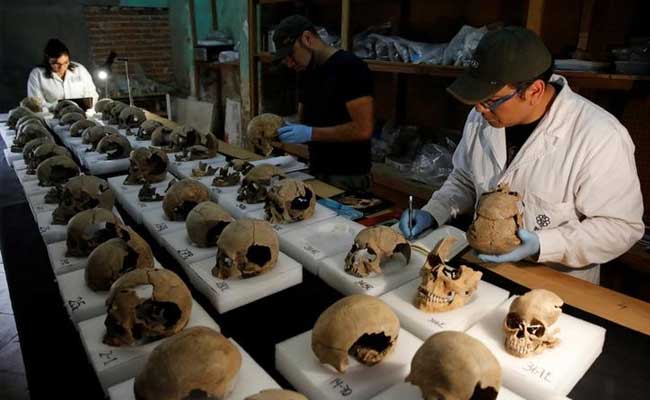 Tower Of Human Skulls In Mexico Casts New Light On Aztecs