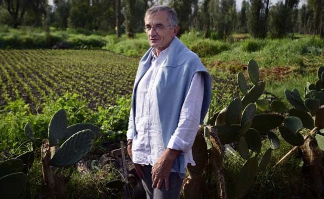 Star Chefs Gather In Mexico To Defend Biodiversity