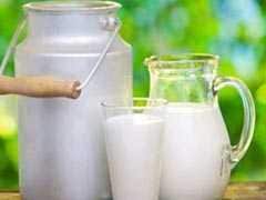 Fermented Milk and Food Items May Help Cancer Survivors