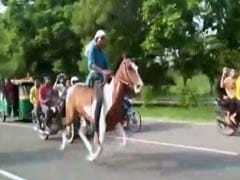 Watch: Not Cars, This Time 2 Horses Caught Racing On Noida Expressway