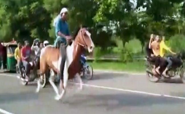 Watch: Not Cars, This Time 2 Horses Caught Racing On Noida Expressway