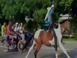 नोएडा एक्सप्रेस-वे पर घोड़ों की रेस का वीडियो वायरल, पुलिस ने जांच के आदेश दिए नोएडा एक्सप्रेस-वे पर घोड़ों की रेस का वीडियो वायरल, पुलिस ने जांच के आदेश दिए