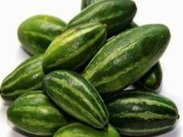 Benefits Of Parwal Vegetable: इम्यूनिटी, डायबिटीज और भूख बढ़ाने समेत इन 7 फायदों से भरपूर है परवल की सब्जी Benefits Of Parwal Vegetable: इम्यूनिटी, डायबिटीज और भूख बढ़ाने समेत इन 7 फायदों से भरपूर है परवल की सब्जी