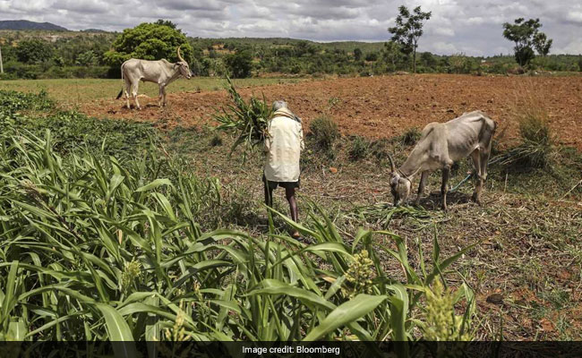 Signs of Rural India, Especially Uttar Pradesh, Recovering From Cash Ban