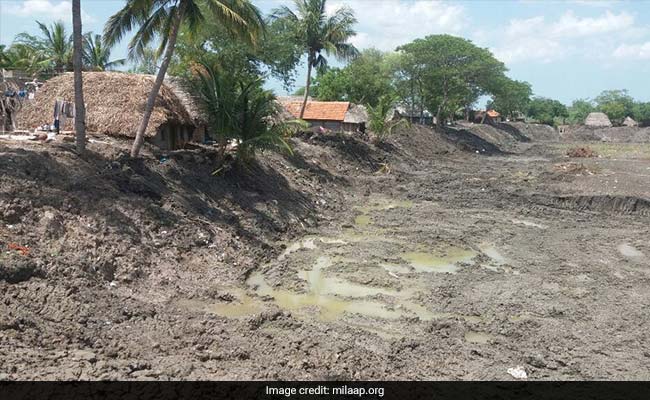 Crowdfunding Restores Ponds In Drought-Hit Tamil Nadu