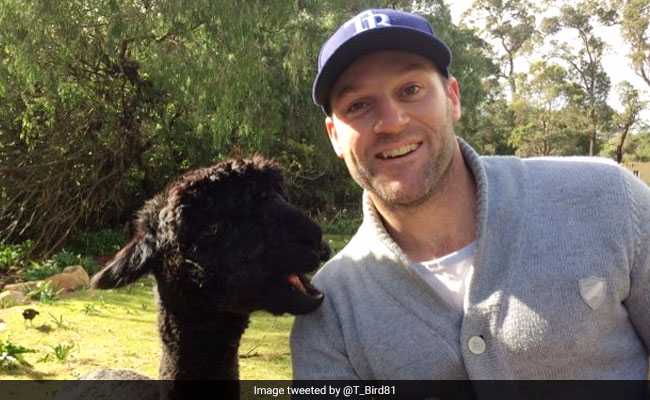 क्रिकेट में करिश्मा: बैट्समैन ने एक गेंद में ठोक डाले 20 रन