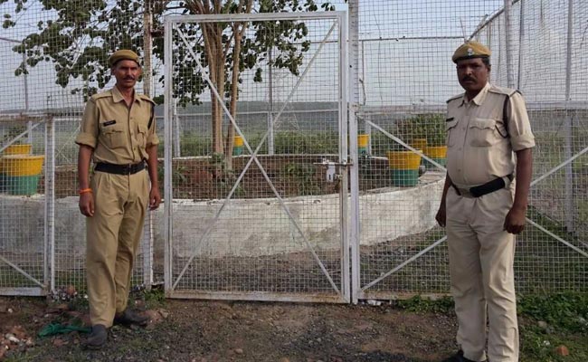 Madhya Pradesh Spends Rs 12 Lakh A Year To Maintain 'VVIP Tree'