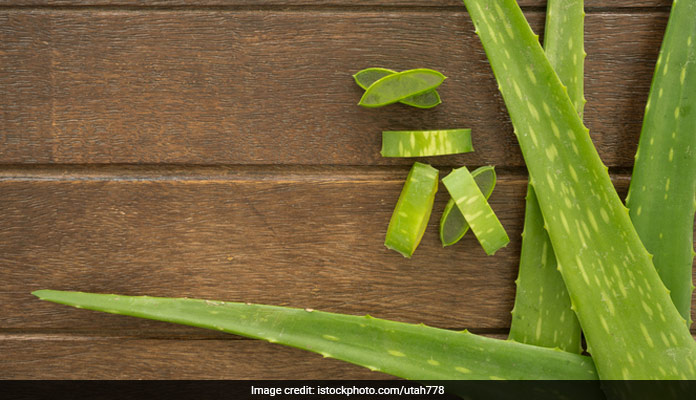 aloe vera calms piles