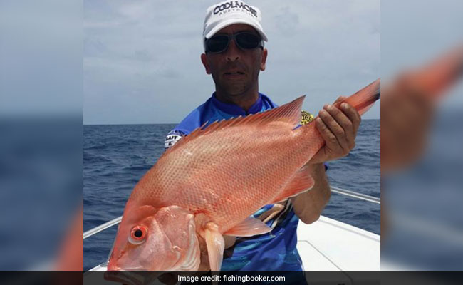 FishingBooker: How to Fish for Red Snapper in Florida: The