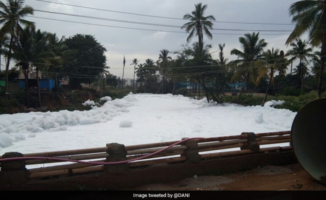 Green Court Summons Top Karnataka Officials Over Bellandur Lake Frothing