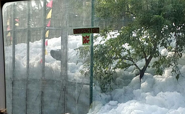 Bengaluru's Varthur Lake Now Spews 10-Feet-High Froth
