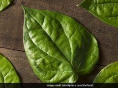 Why is the Betel Leaf (Paan Patta) So Significant in Hindu Traditions?