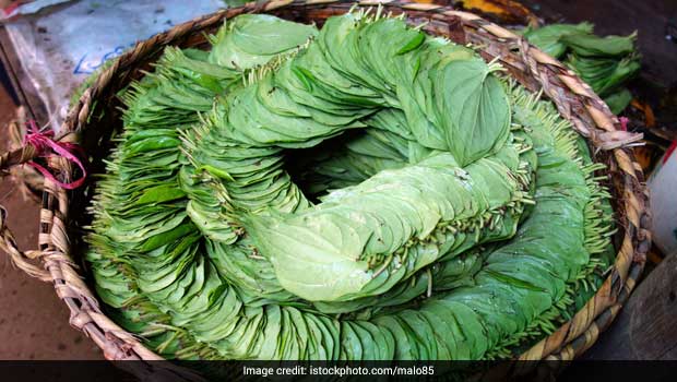 Why is the Betel Leaf (Paan Patta) So Significant in Hindu Traditions ...