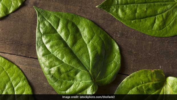 Why is the Betel Leaf (Paan Patta) So Significant in Hindu Traditions?