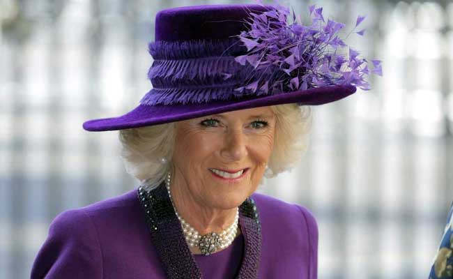 UK's Queen Consort Camilla Chooses Crown Without Kohinoor For King Charles'  Coronation