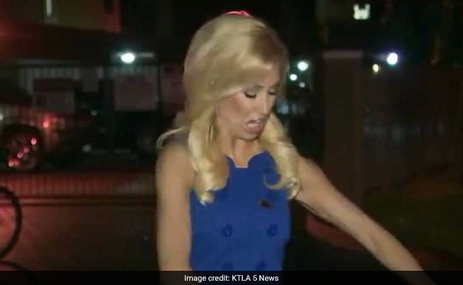 Watch: Flying Cockroach Lands On Reporter Seconds Before Live