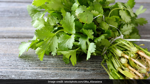 Coriander or Cilantro: Uses and Benefits for Skin and Health