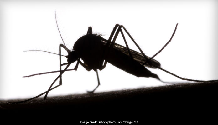 80 Dengue Cases Reported In Chandigarh This Month