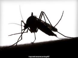 80 Dengue Cases Reported In Chandigarh This Month 80 Dengue Cases Reported In Chandigarh This Month