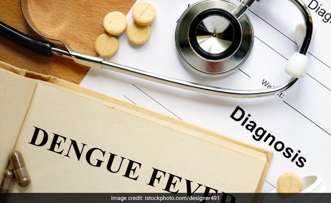 Dengue: 3 Herbs You Can Consume To Prevent Dengue Fever