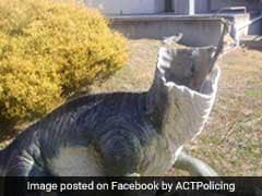 Dinosaurs Beheaded At Australian Museum