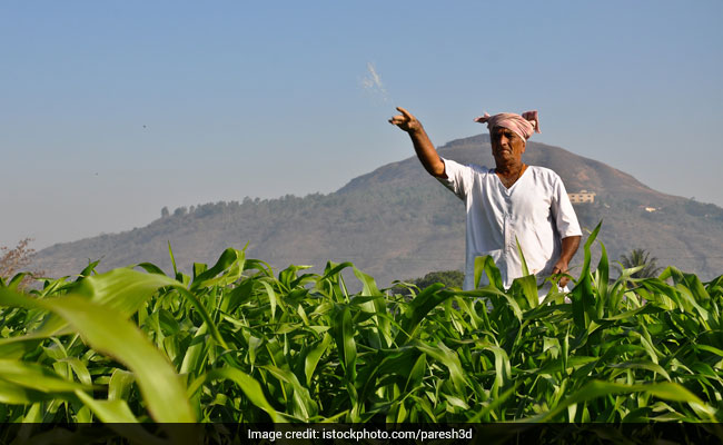 नरेंद्र मोदी सरकार ने खाद सब्सिडी 140% बढ़ाई, पीएम ऑफिस ने बताया 'ऐतिहासिक फैसला'