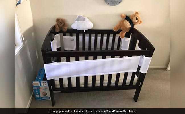 Dad Finds A Scary Snake Hiding In Baby's Room. Can You See Where It Is?