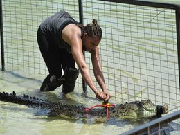 Khatron Ke Khiladi: पहलवान गीता फोगाट को करना होगा मगरमच्छ से मुकाबला Khatron Ke Khiladi: पहलवान गीता फोगाट को करना होगा मगरमच्छ से मुकाबला