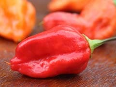 Bhoot Jolokia (Ghost Chilli Pepper): Do You Have the Guts to Try it?